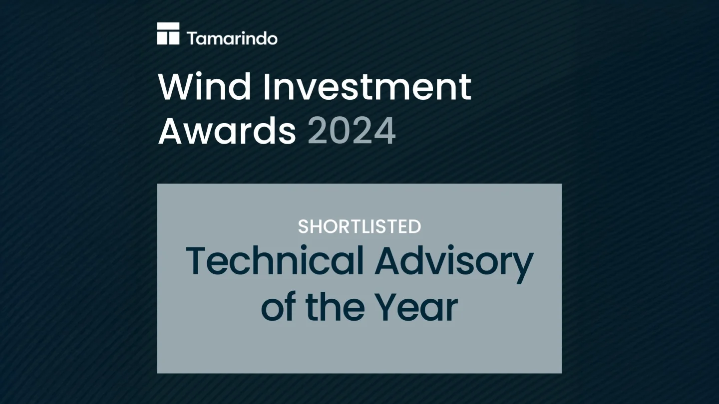 Technical Advisory of the Year at the 2024 Wind Investment Awards